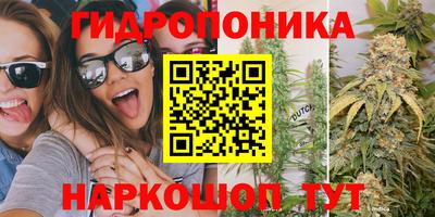 бошки Волжский