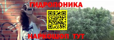 дживик Волжск