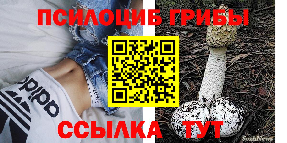 Галлюциногенные грибы ЛСД Дятьково
