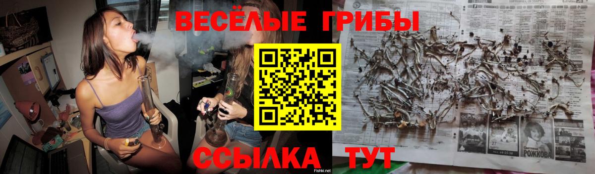 Дятьково  Галлюциногенные грибы ЛСД  Вход с VPN  Псилоцибиновые грибы Magic Shrooms 